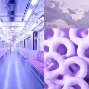 Meet your Posher, Alesha